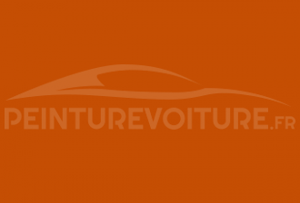 Code peinture Volkswagen L20P Braun/orange