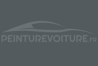 Code peinture Volkswagen L225 Jupitergrau