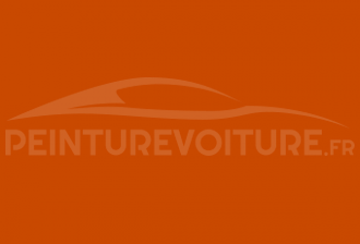 Code peinture Volkswagen L23N Telerentorange