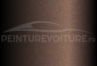Code peinture Opel L40P Brown