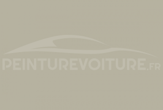 Code peinture Volkswagen L466 Silverbeige
