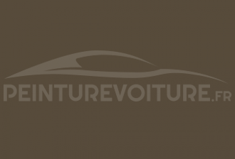 Code peinture Volkswagen L479 Ton Beige