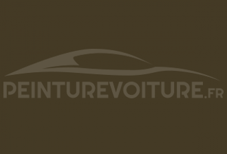 Code peinture Volkswagen L47R Olive