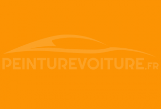 Code peinture Volkswagen L48 Orangegelb