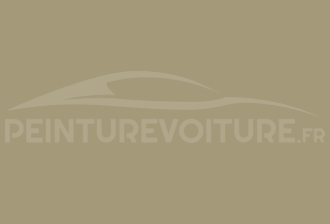 Code peinture Volkswagen L563 Safaribeige
