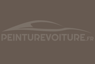Code peinture Volkswagen L575 Nutria