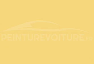 Code peinture Volkswagen L6040 Amarelo Sunny