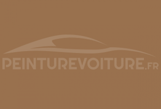 Code peinture Volkswagen L6C6 Sandbeige 03