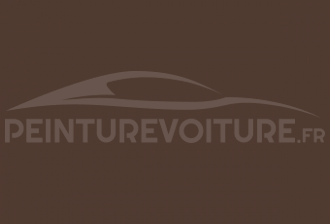 Code peinture Volkswagen L7020 Marron Asteka