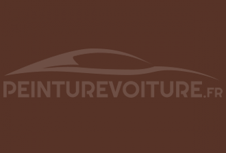 Code peinture Volkswagen L7027 Marron Cafe