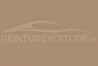 Code peinture Volkswagen L7G8 Purebeige