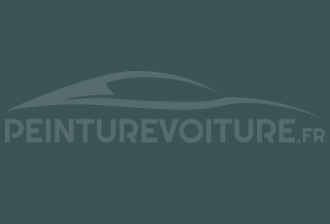 Code peinture Volkswagen LA6F Cactus Green