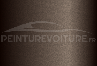 Code peinture Volkswagen LA8Y Bronzegrau