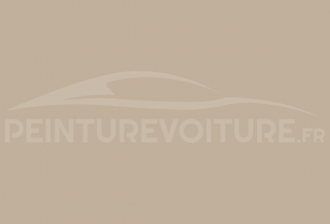 Code peinture Volkswagen LB1N Reed Beige
