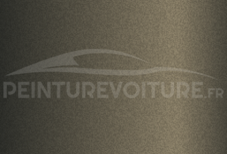 Code peinture Volkswagen LB6H Dark Olivine Green