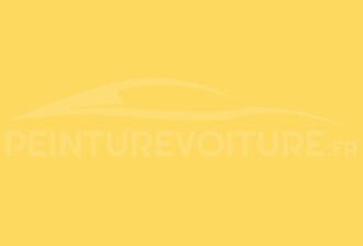 Code peinture Volkswagen LD1B Yellow