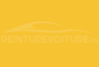 Code peinture Volkswagen LD1D Double Yellow