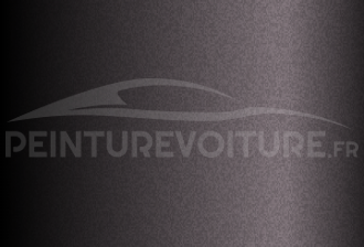 Code peinture Volkswagen LD8T Velvet Brown