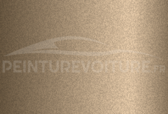 Code peinture Volkswagen LE1V Gold