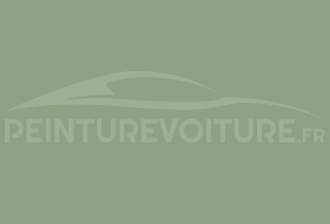 Code peinture Volkswagen LE6B Mountain Green