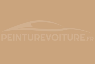 Code peinture Volkswagen LH1N Samosbeige