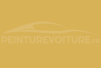Code peinture Volkswagen LH1Q Sunny Yellow