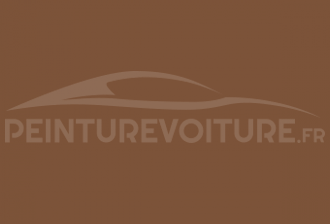 Code peinture Volkswagen LH8E Braunbeige