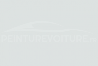 Code peinture Volkswagen LI9A Branco Geada