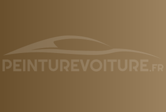 Code peinture Volkswagen LK1U Antique Gold