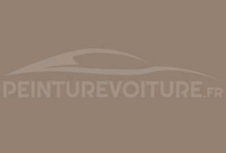 Code peinture Volkswagen LL1D Amag Beige