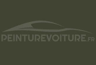 Code peinture Volkswagen LL6H Nato Olive