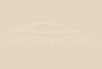 Code peinture Volkswagen LM1N Pastellbeige