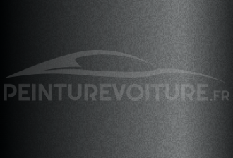 Code peinture Volkswagen LMI1 Nucleus Grey