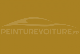 Code peinture Volkswagen LN1N Currygelb