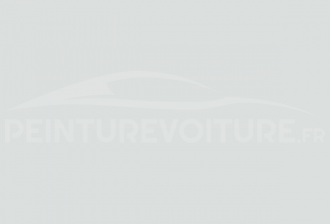 Code peinture Volkswagen LO9C Arctica