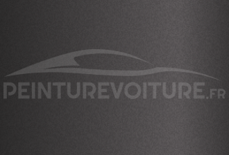 Code peinture Ford LP1 Grey Maverick