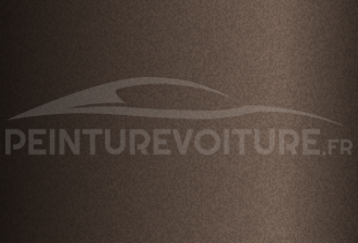 Code peinture Volkswagen LP8X Saddle Brown