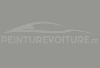 Code peinture Leapmotor LPC03 Tundra Grey	