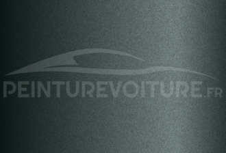 Code peinture Citroen LQZ Gris Fluid