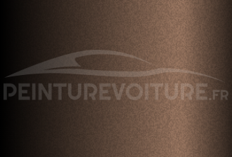 Code peinture Volkswagen LR8Z Walnut Brown