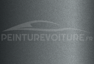 Code peinture Maxus LRL Ronglin Grey
