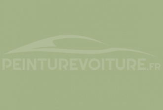 Code peinture Peugeot LSA (LQG) Vert Freeway