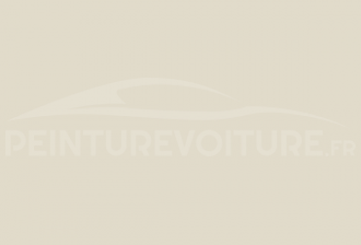 Code peinture Hyundai LT Light Grey