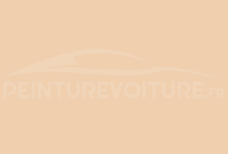 Code peinture Volkswagen LT1N Jadebeige