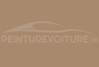 Code peinture Volkswagen LT1P Omanbeige