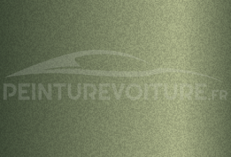 Code peinture Volkswagen LV6X Dark Spice Green