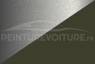 Code peinture Hyundai LW/02 Lz + Hs