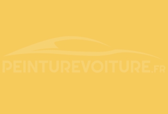 Code peinture Volkswagen LY1H Tukangelb