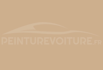 Code peinture Volkswagen LY1N Santosbeige