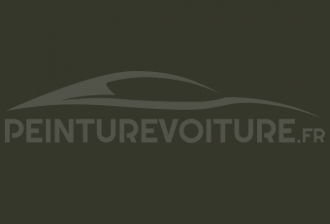 Code peinture Hyundai LZ Military Green